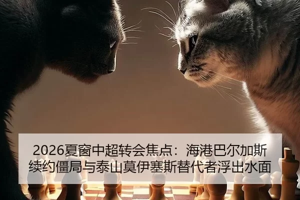 xia-chuang-zhong-chao-zhuan-hui-jiao-dian-hai-gang-ba-er-jia-si-xu-yue-jiang-ju-yu-tai-shan-mo-yi-sai-si-ti-dai-zhe-fu-2-866.jpg